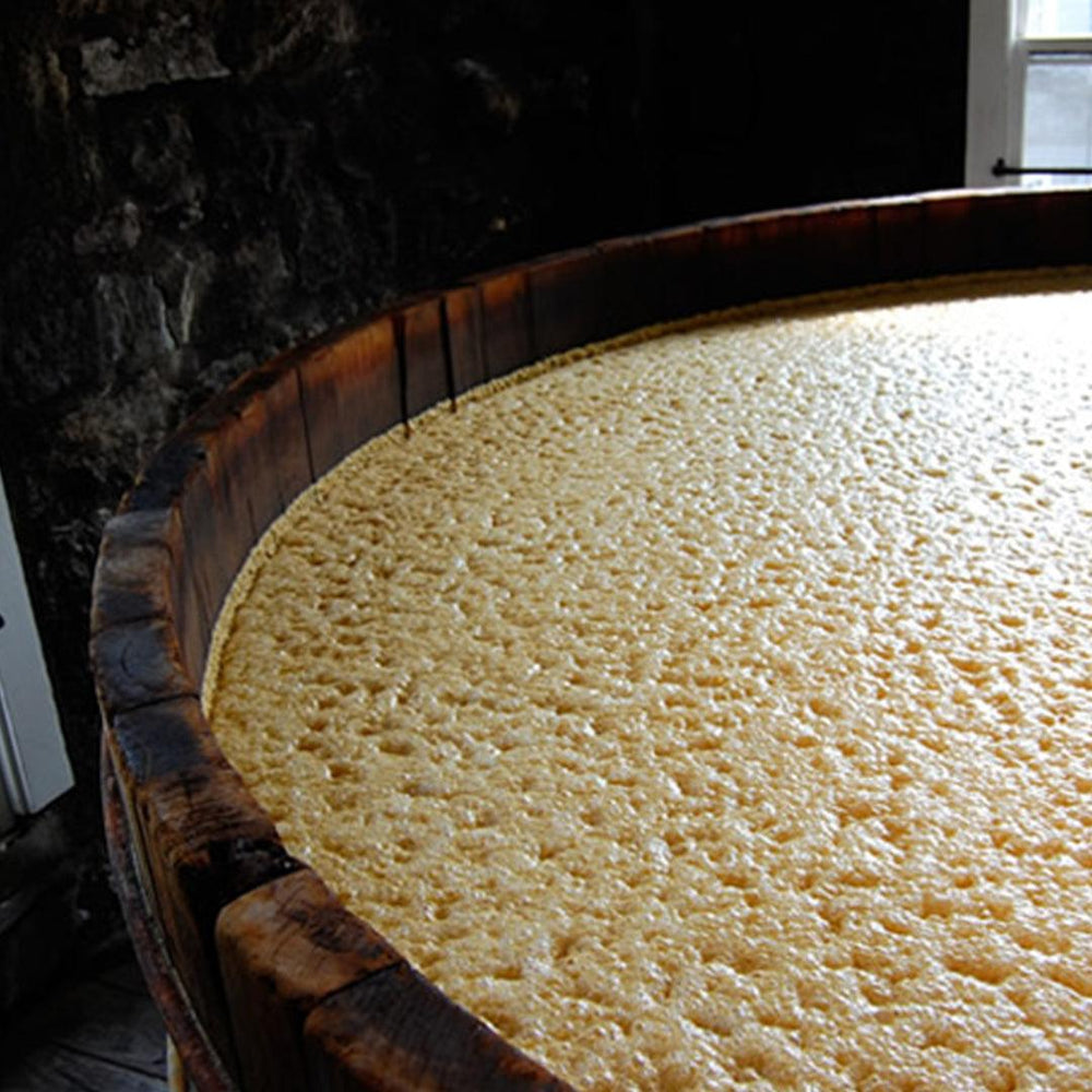 Reuse of yeast - AFP | Aseptic Fruit Purees