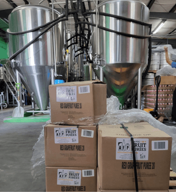 THE IMPORTANCE OF PROJECTING: SECURING SUCCESSFUL BEVERAGE PRODUCTION IN 2024 WITH AFP - AFP | Aseptic Fruit Purees