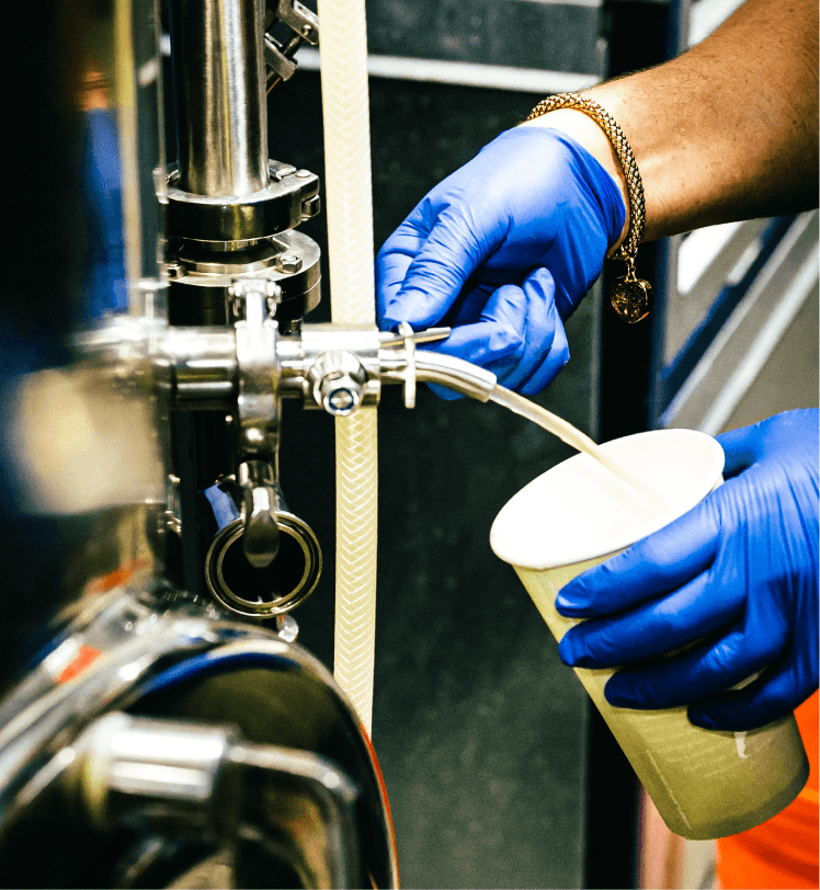 MAKING A CLEAR FRUIT BEER WHEN USING ASEPTIC FRUIT PUREES - AFP | Aseptic Fruit Purees