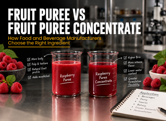 Fruit Puree vs Fruit Puree Concentrate: How Food and Beverage Manufacturers Choose the Right Ingredient