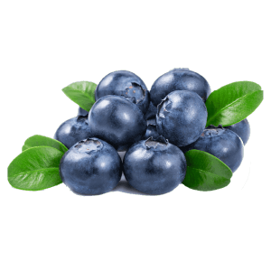 Blueberry Aseptic Fruit Purée