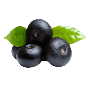 Açai Aseptic Fruit Purée