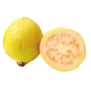 Brazilian Guava (Feijoa) Aseptic Fruit Purée