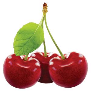 Cherry Aseptic Fruit Puree