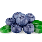 Blueberry